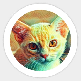 Bright-Eyed floppy cat Sticker